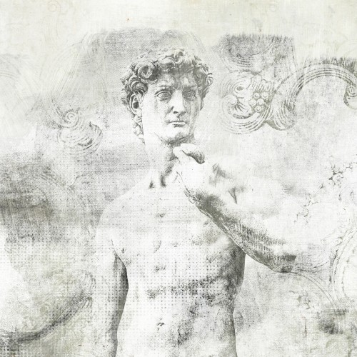 Decorative wallpaper " David 5" (self-adhesive)