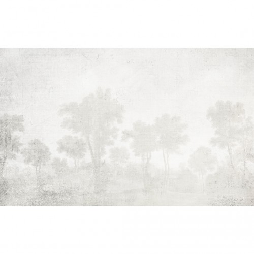 Decorative wallpaper "Mysterious Valley"