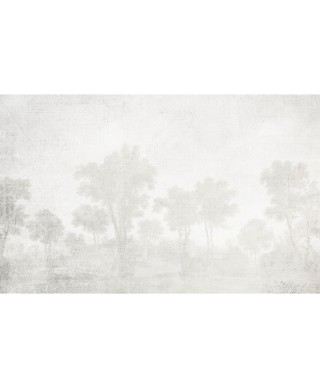 Decorative wallpaper "Mysterious Valley"