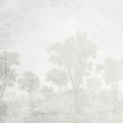 Decorative wallpaper "Mysterious Valley"