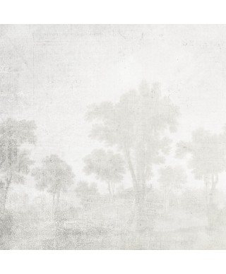 Decorative wallpaper "Mysterious Valley"