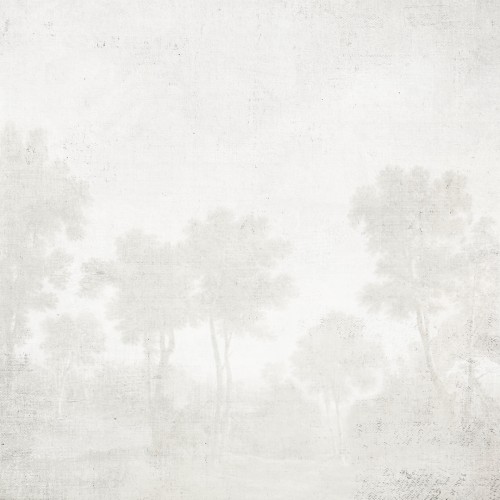 Decorative wallpaper "Mysterious Valley"