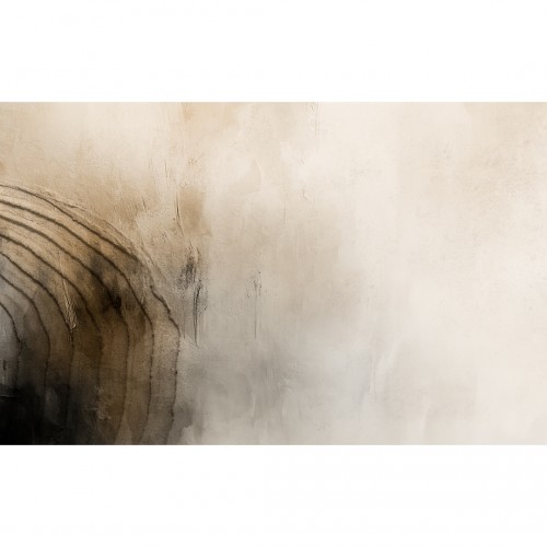 Decorative wallpaper "Echo"
