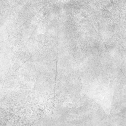 Stenske tapete - Dekorativna tapeta "Praprot"