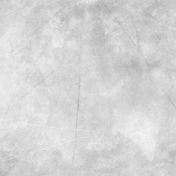 Stenske tapete - Dekorativna tapeta "Praprot"