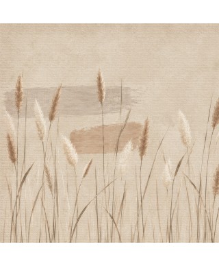 Stenske tapete - Dekorativna tapeta "Pampas"